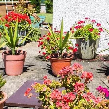 Refined Near Catanhede With Private Pool Villa *